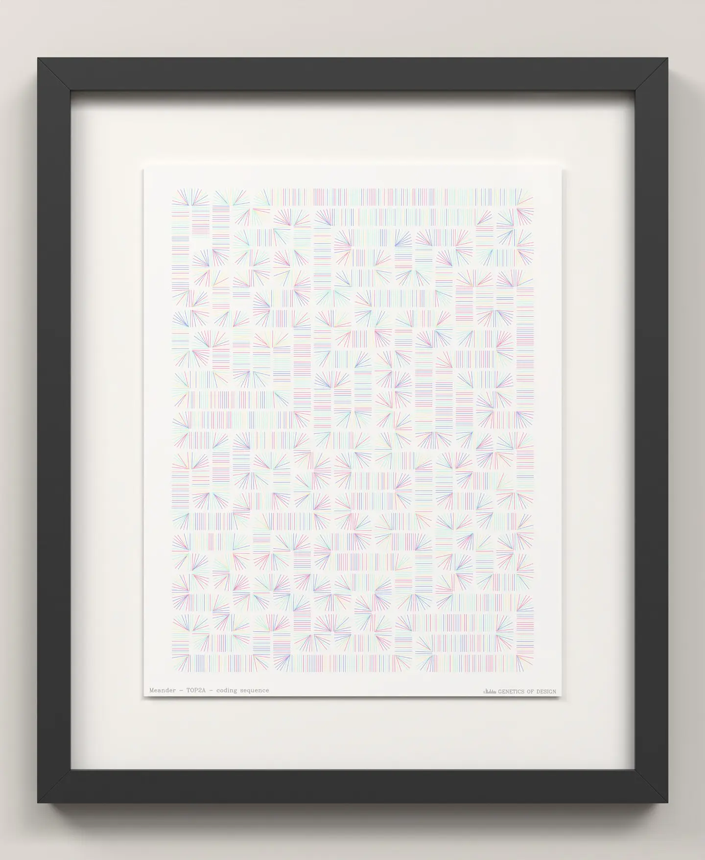 TOP2A · Meander 3
