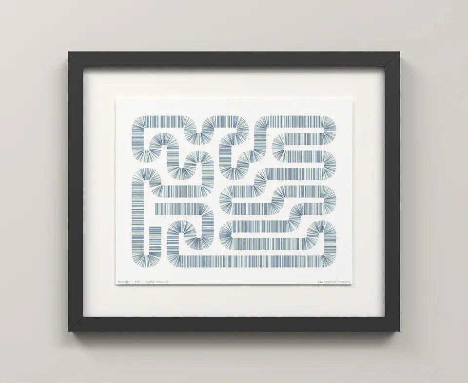 WRN · Meander 3