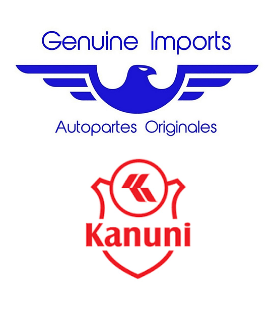 Motoventilador Completo Kia Picanto Ion