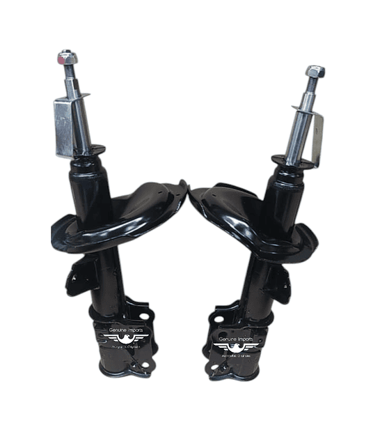 Amortiguadores Delanteros Hyundai Visión Kia Xcite Juego X 2