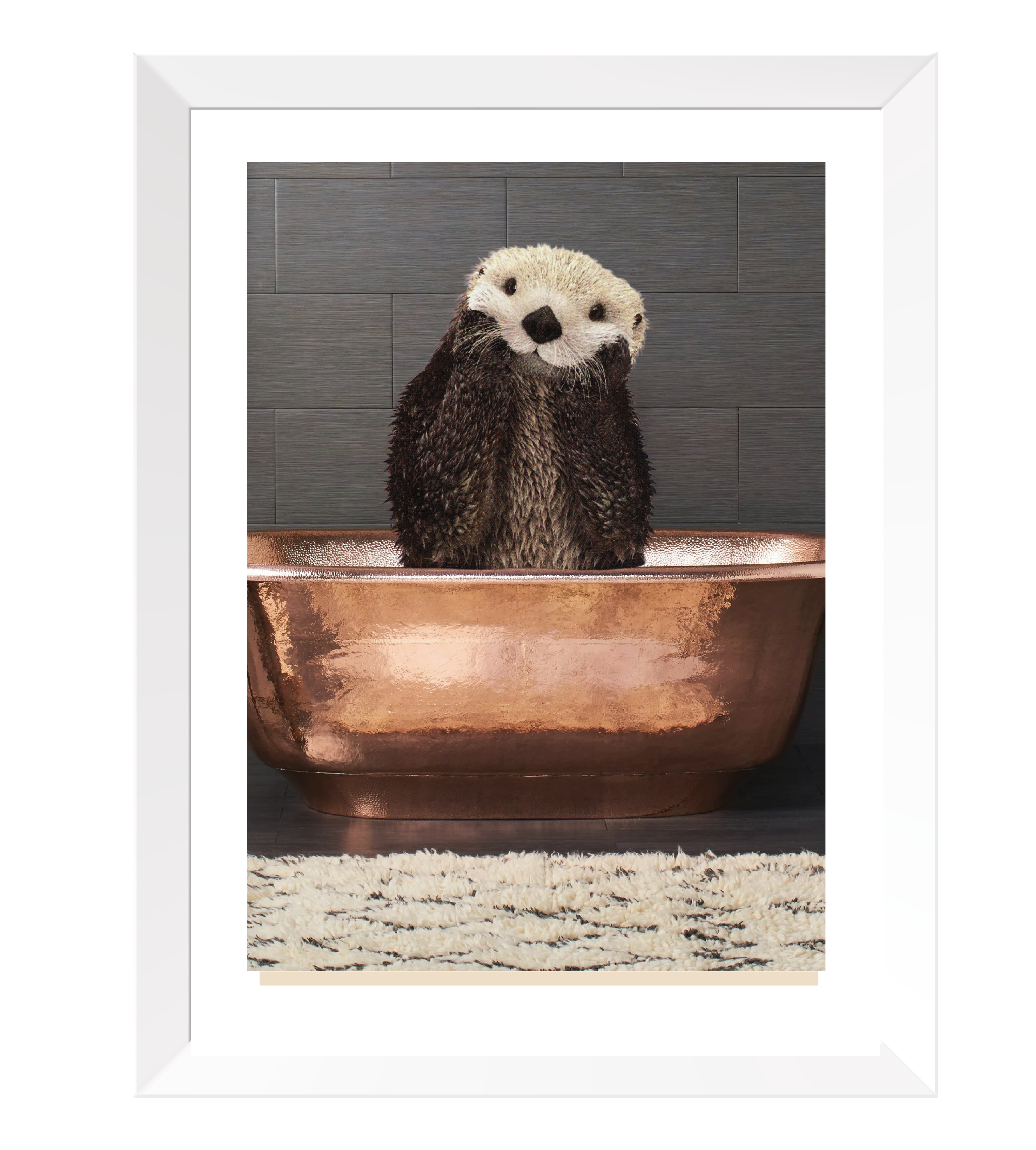 Animales Deco Hogar 20x25 cms