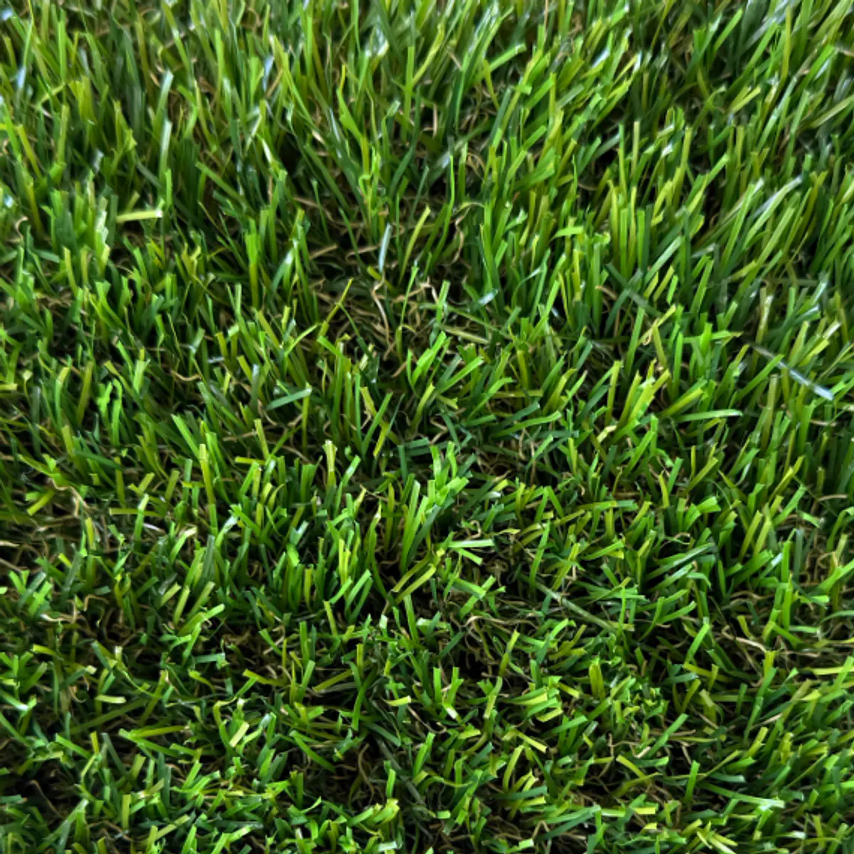 Pasto 30mm 4 mts ancho