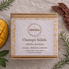 Champô Sólido Natural e Artesanal-Cabelos normais 60gr 1