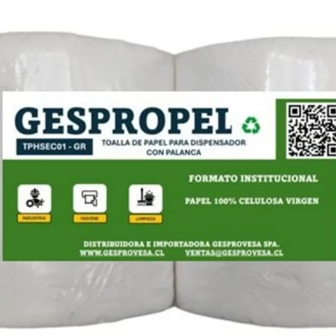 Pack Toalla Papel  2x250. 1
