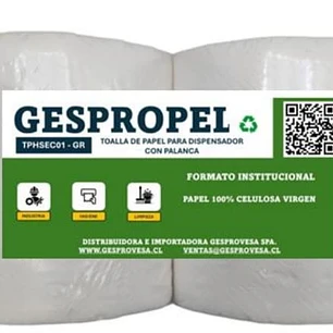 Pack Toalla Papel  2x250.