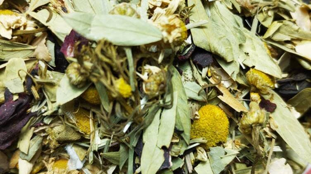 Drenaje Pro-Activo 1