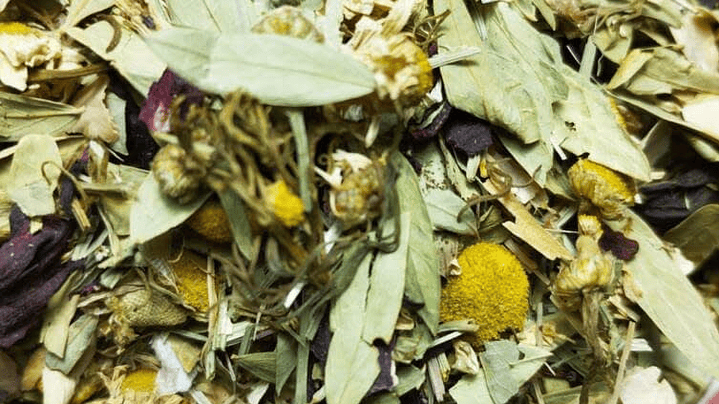 Drenaje Pro-Activo 1