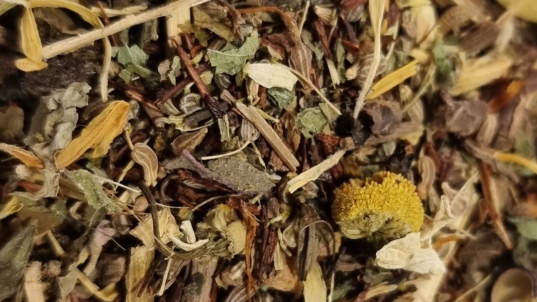 Jardín de Morfeo  1