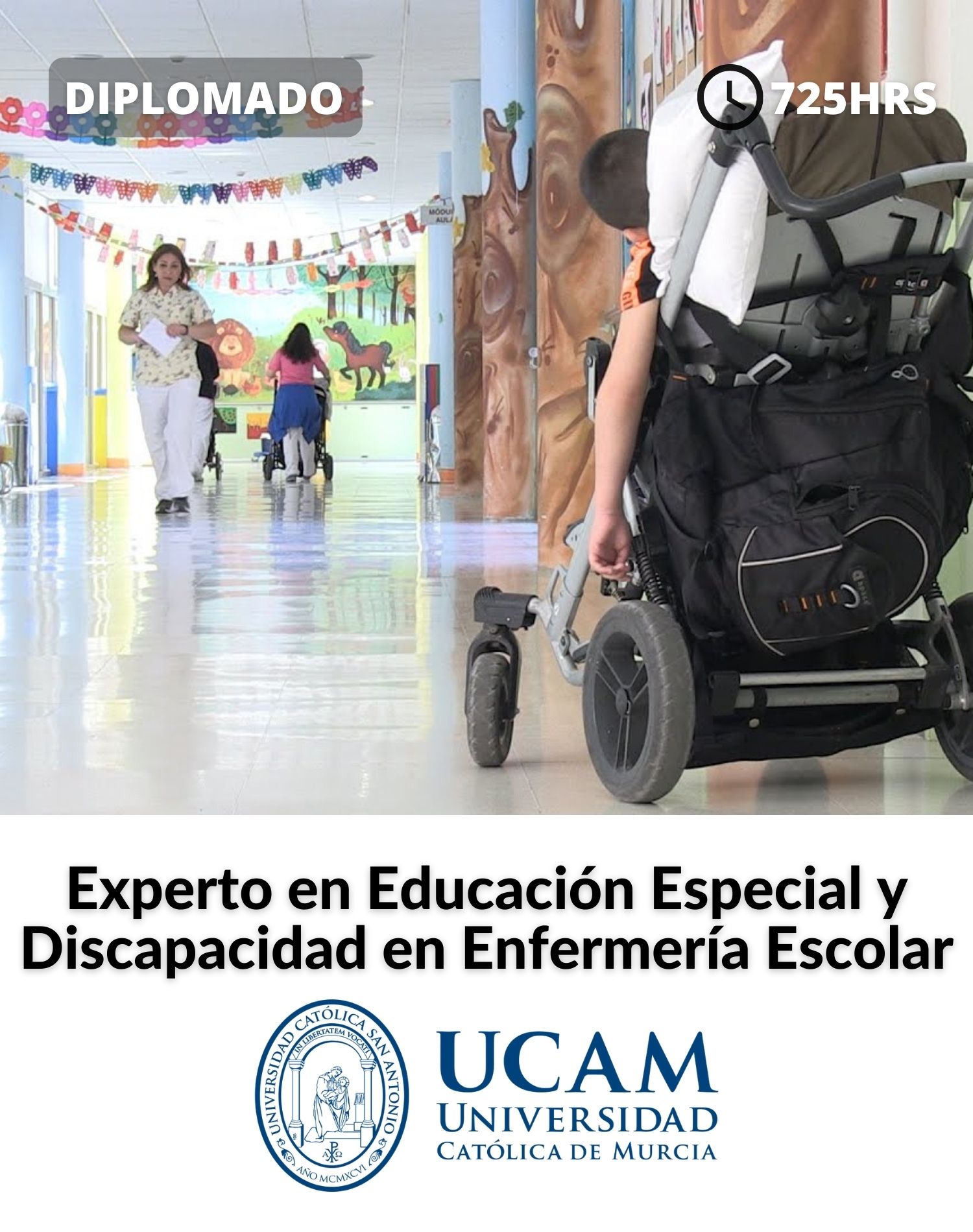 Diplomado Experto en Educación Especial y Discapacidad en Enfermería Escolar 2