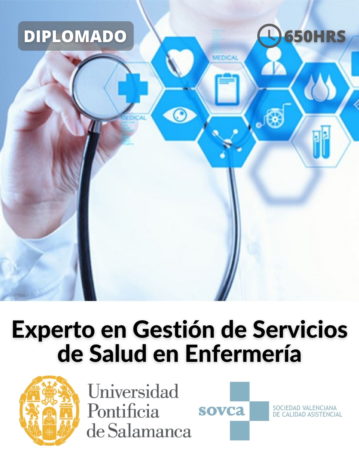 Diplomado en Gestión de Servicios de Salud en Enfermería 2