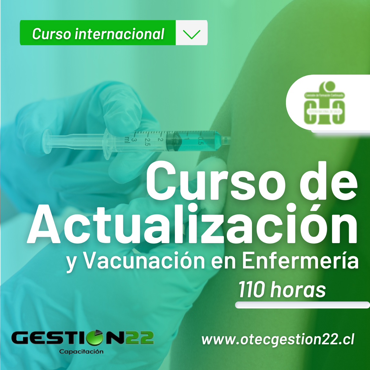  Curso de Actualización y Vacunación en Enfermería ( 110 hrs)