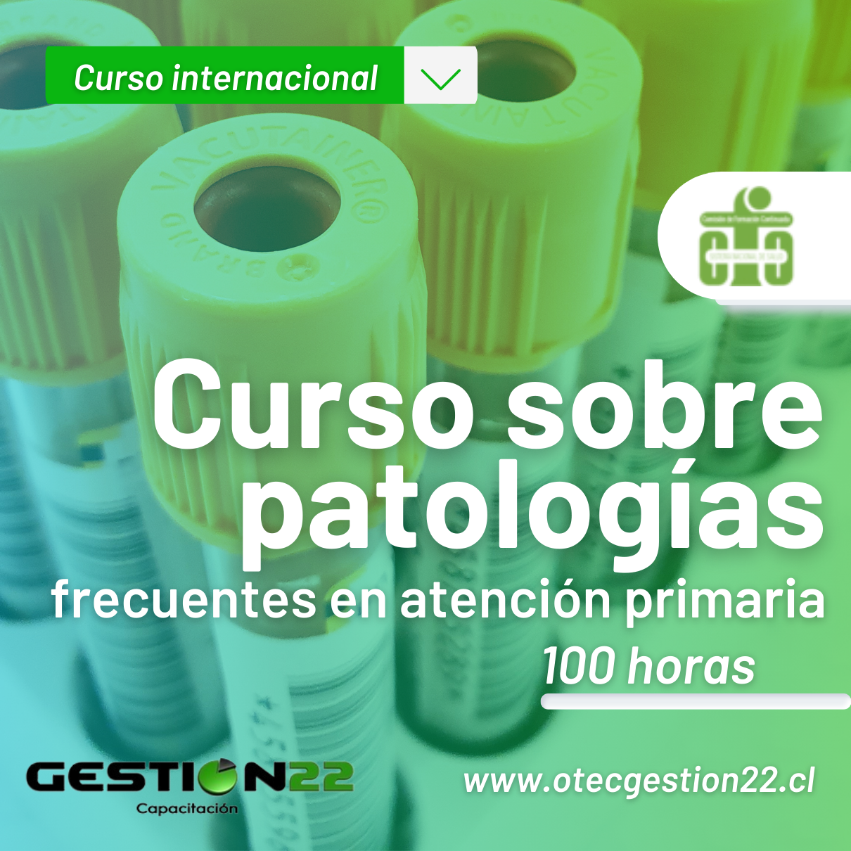 Curso sobre patologías frecuentes en atención primaria ( 100 hrs)