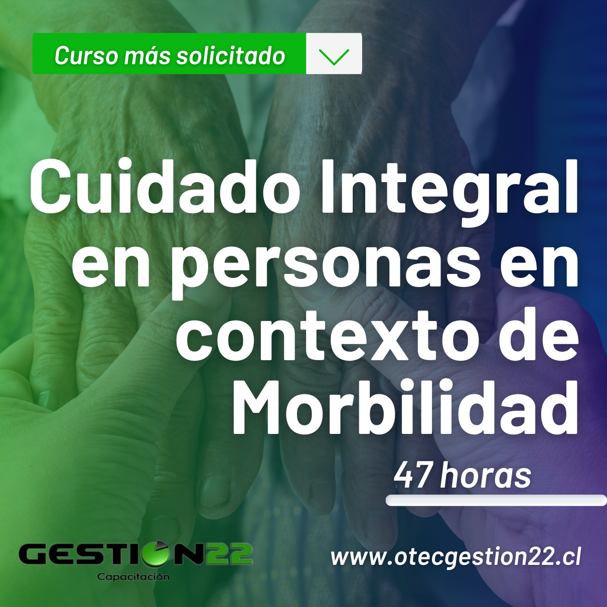 Cuidado Integral en personas en contexto de Multimorbilidad (47 hrs) 2