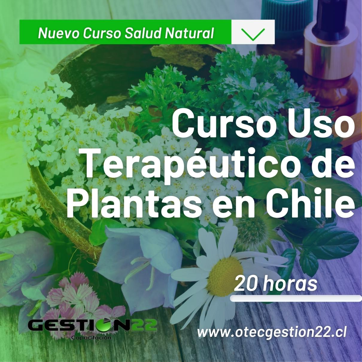 Curso Uso Terapéutico de Plantas en Chile