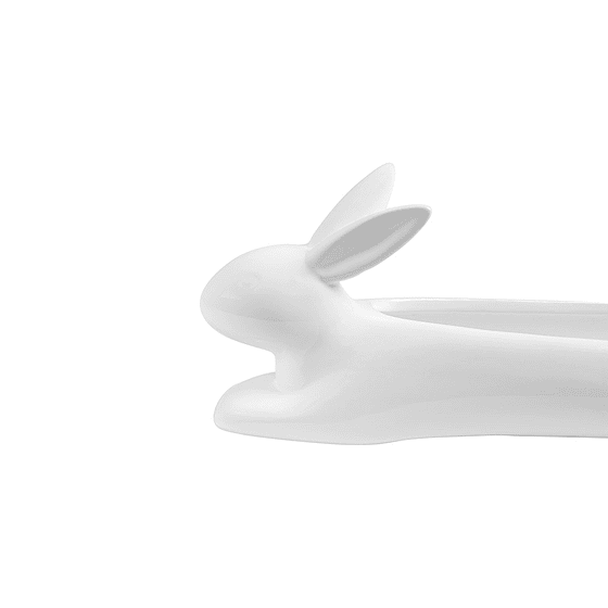 Fuente Galletas Conejo