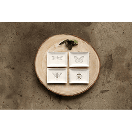 Set 4 platos de Té Insectos