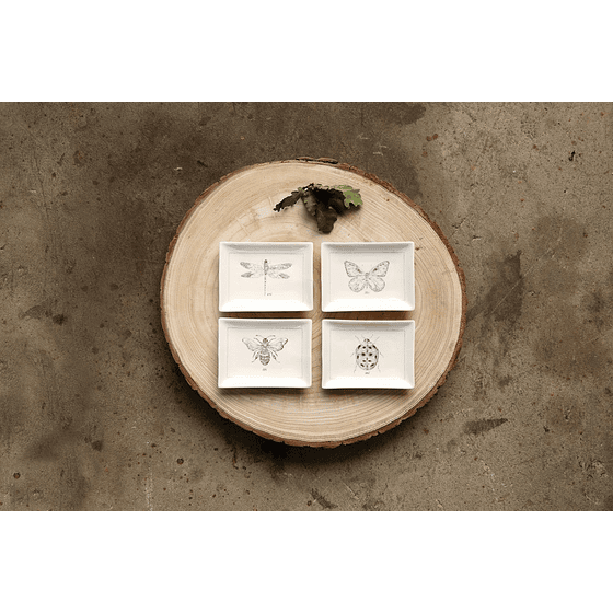 Set 4 platos de Té Insectos
