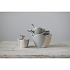 Set Mini Bowls Ballenas