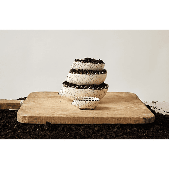 Set 4 Mini Bowls Erizos