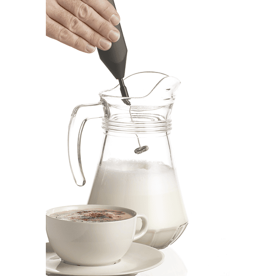 Espumador para Leche