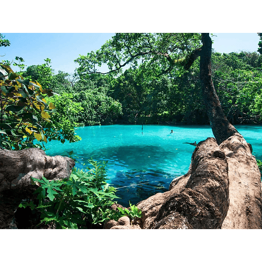 Paseo a Blue Lagoon, Jamaica