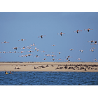 Visita a Walvis Bay, Namibia 2