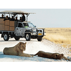 Estadía en Etosha, Namibia 4