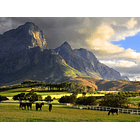 Ruta del vino Sudafricano por Franschhoek 1