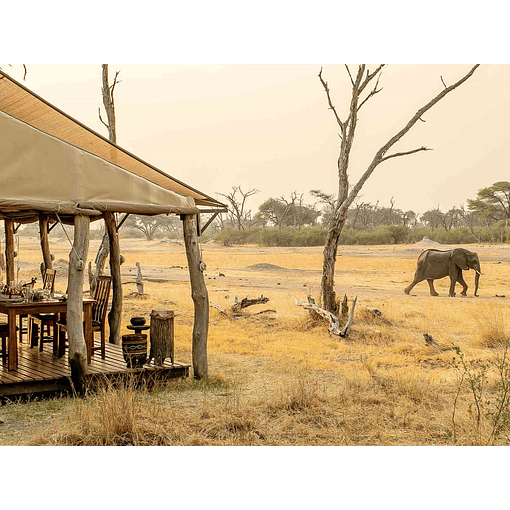 Estadía en Hwange, Zimbabue