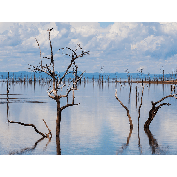 Estadía en Lago Kariba, Zambia-Zimbabue 5