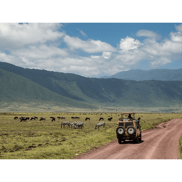 Safari Serengeti-Ngorongoro, Tanzania 6