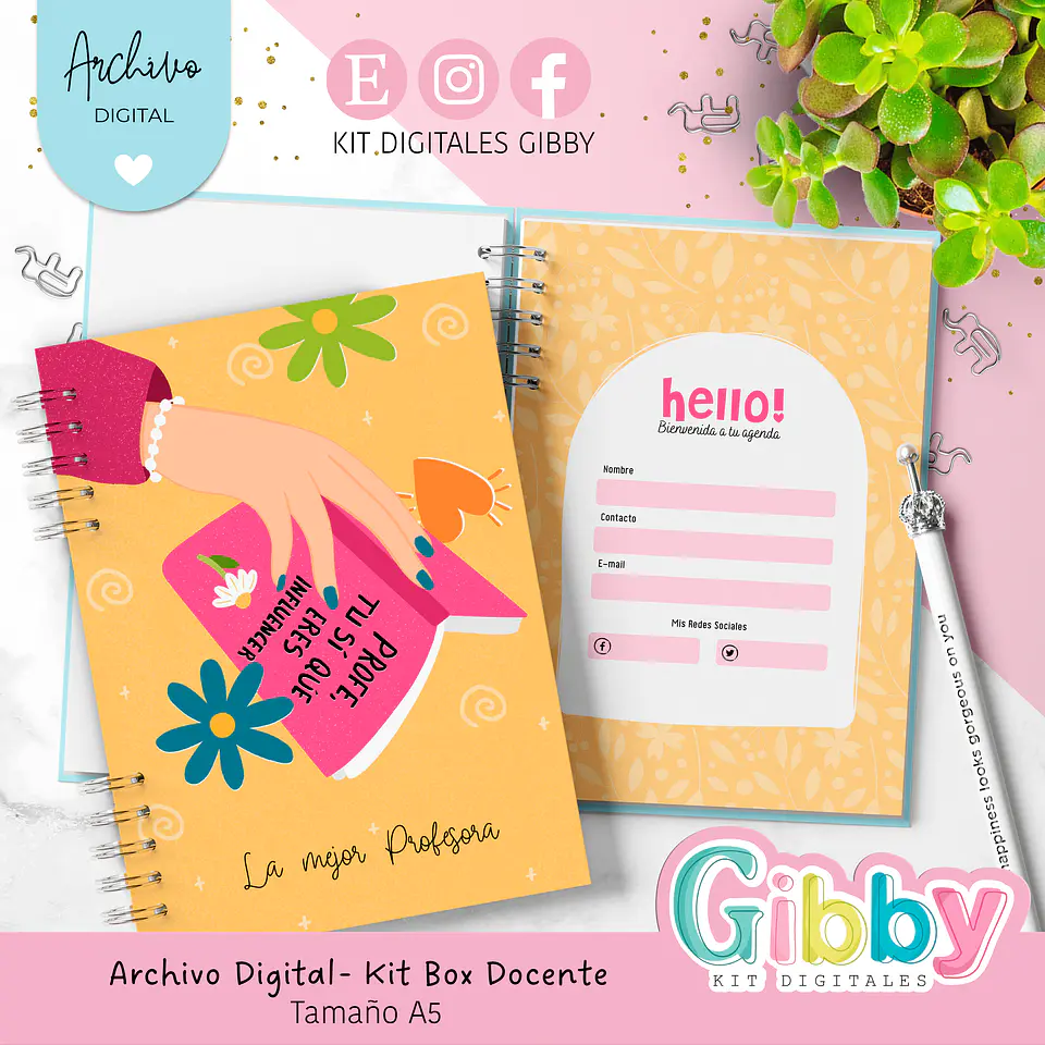 Kit box Archivo digital - Docente/Profesora  2