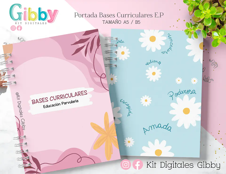 Kit Archivo - Bases Curriculares E.P (A5-B5) 5