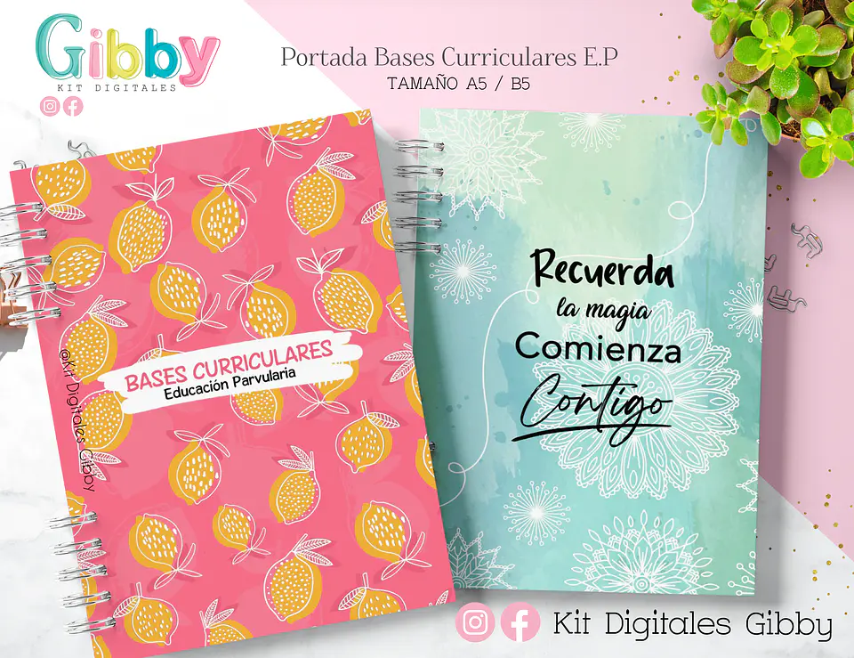 Kit Archivo - Bases Curriculares E.P (A5-B5) 6