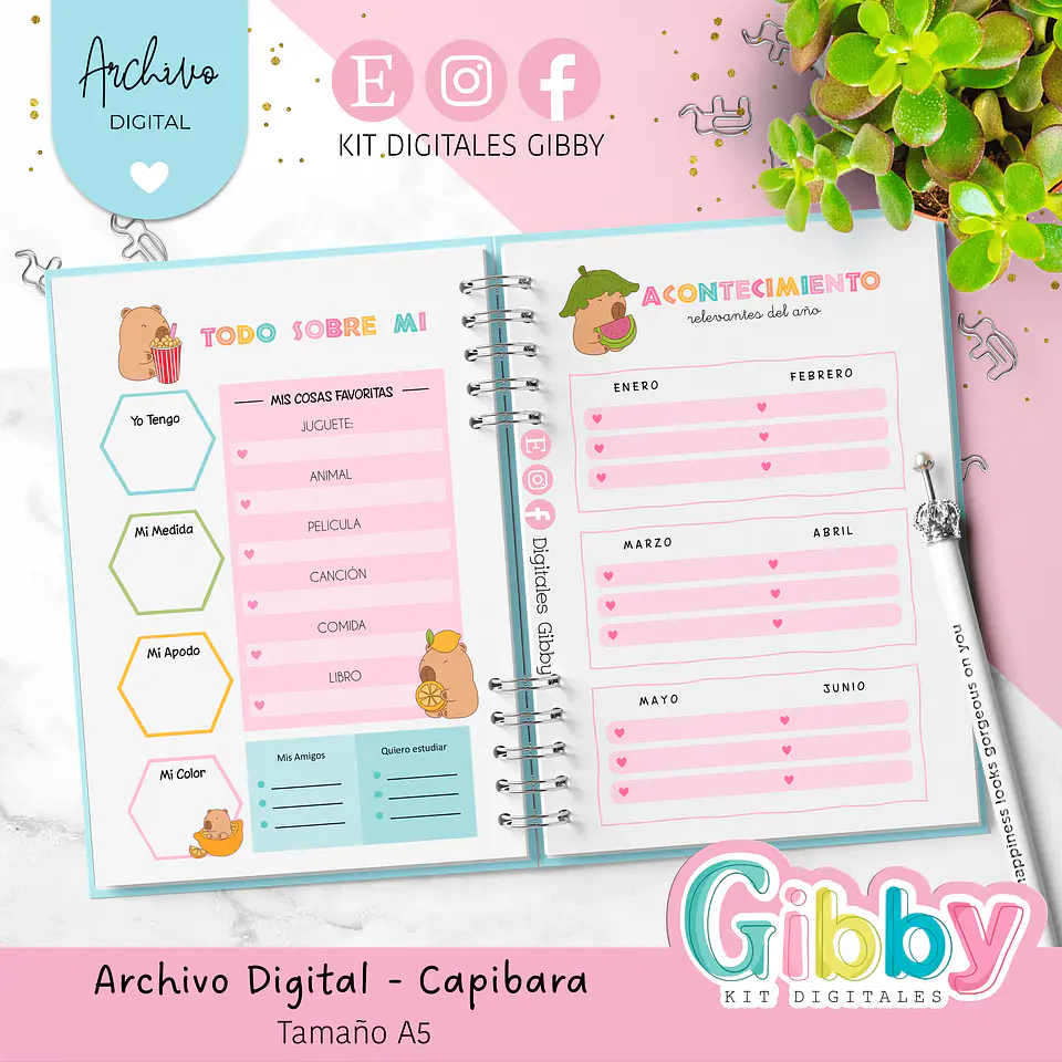 Kit box Archivo Digital Capibara 4