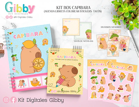 Kit box Archivo Digital Capibara
