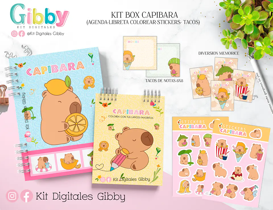 Kit box Archivo Digital Capibara 1