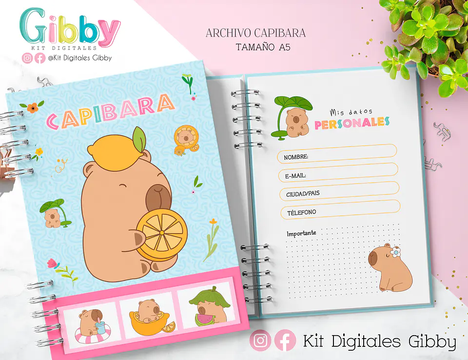 Kit box Archivo Digital Capibara 2