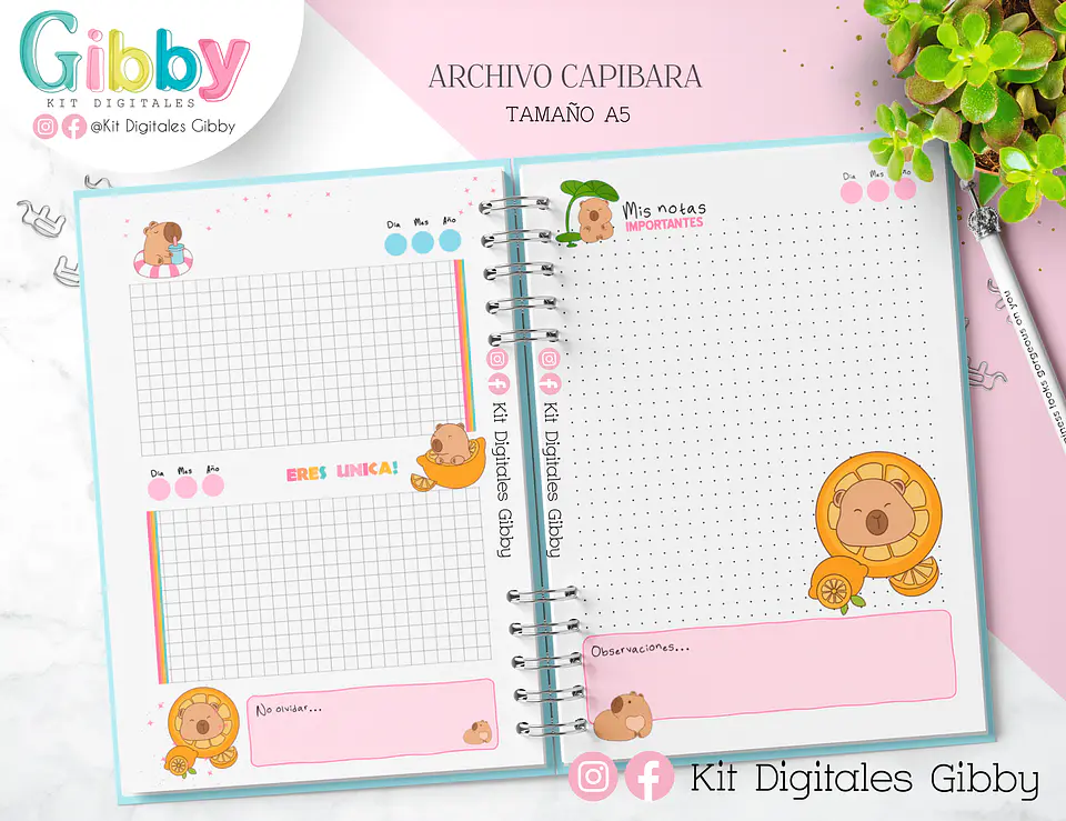 Kit box Archivo Digital Capibara 5