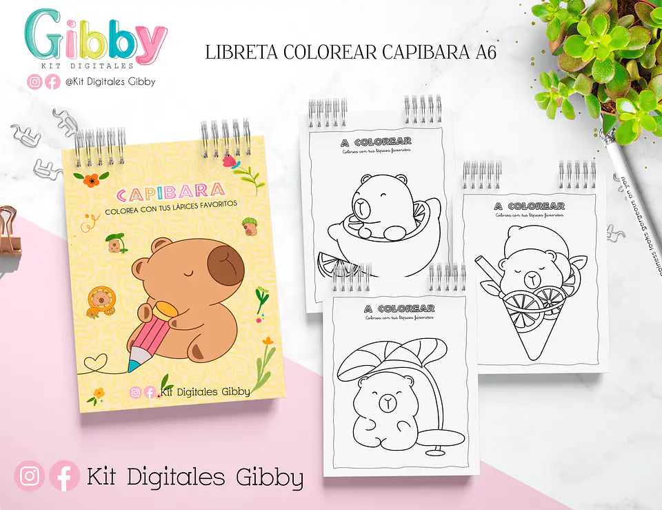 Kit box Archivo Digital Capibara 6