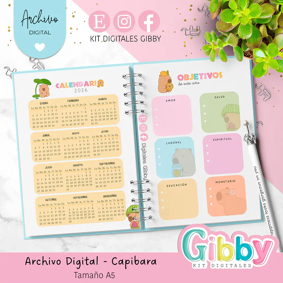 Kit box Archivo Digital Capibara 3