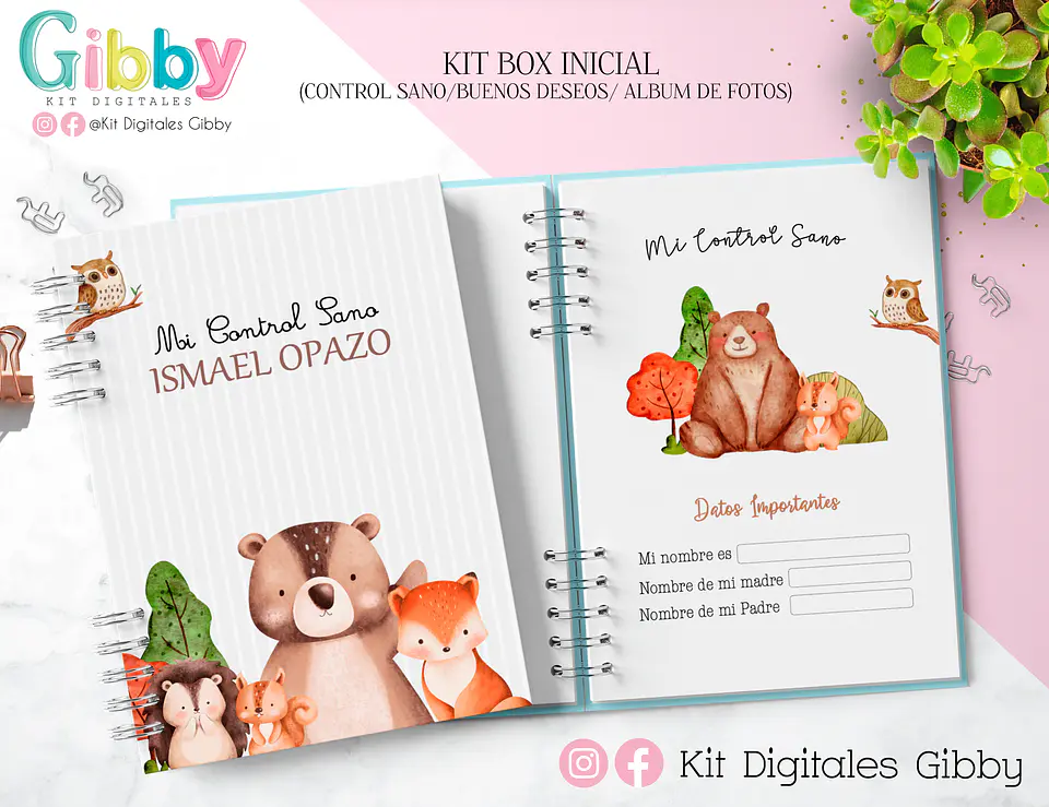 Super Kit box inicial (Control sano / Buenos deseos / Album) 2