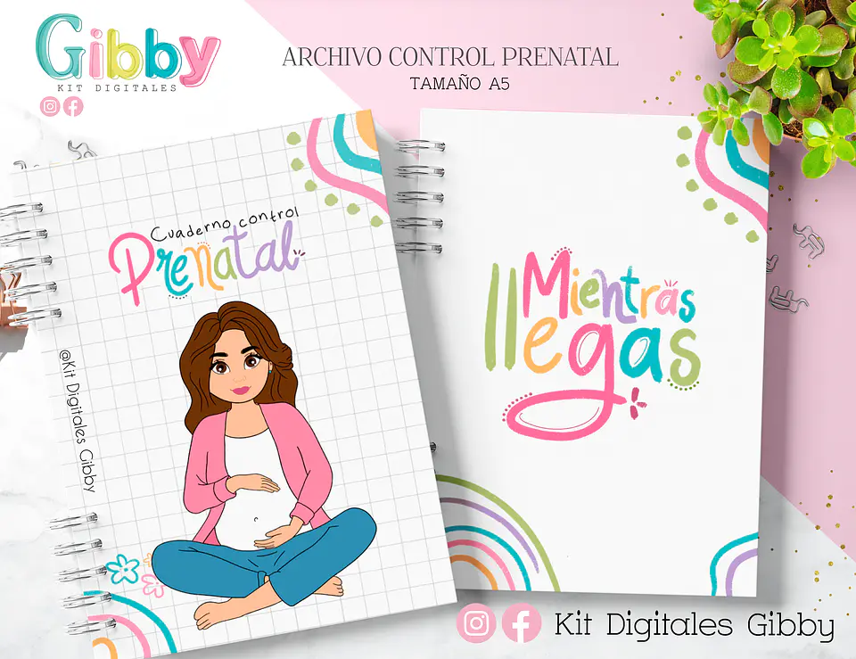 Archivo Digital - Control prenatal (chile) 2