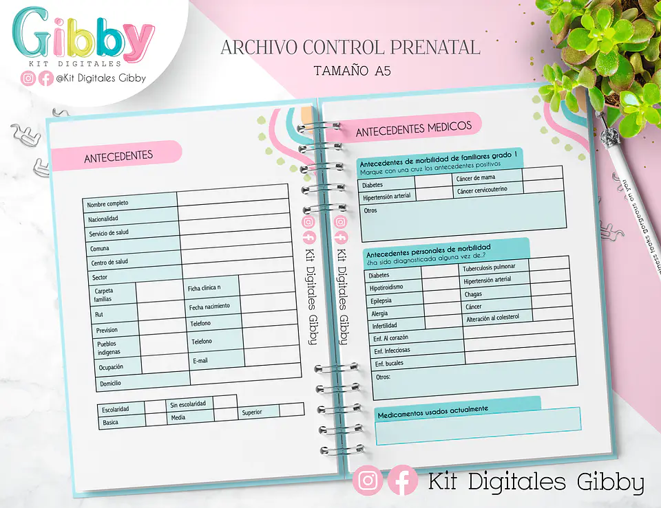 Archivo Digital - Control prenatal (chile) 3
