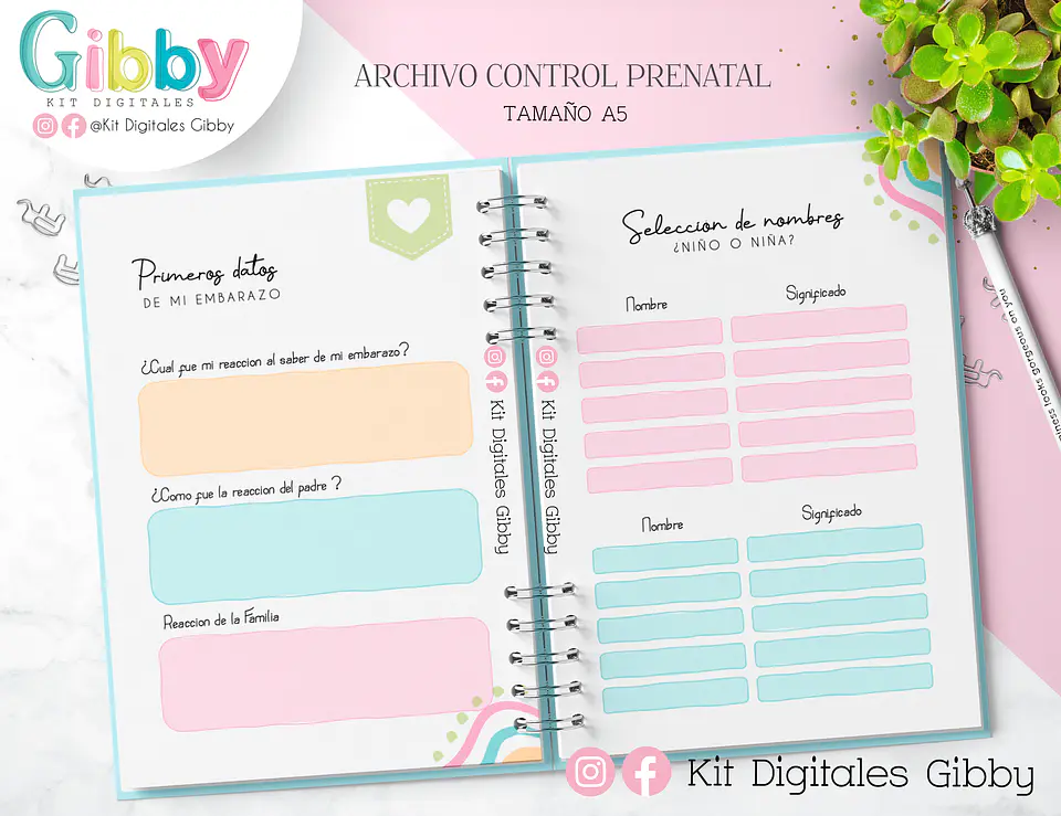 Archivo Digital - Control prenatal (chile) 6