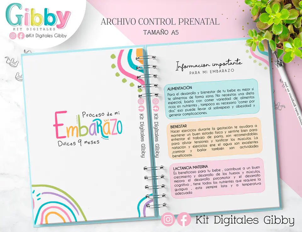 Archivo Digital - Control prenatal (chile) 5