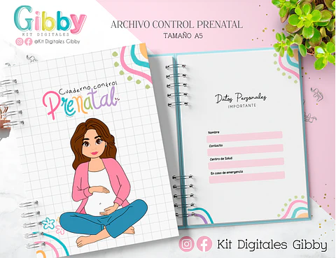 Archivo Digital - Control prenatal (chile)