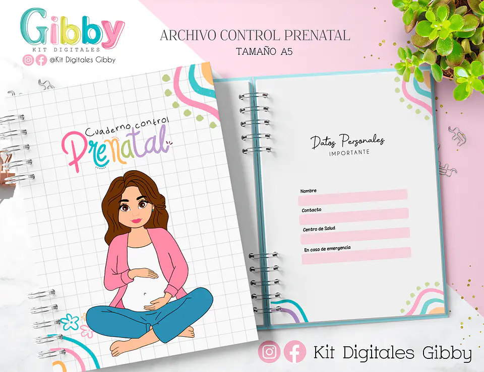 Archivo Digital - Control prenatal (chile) 1