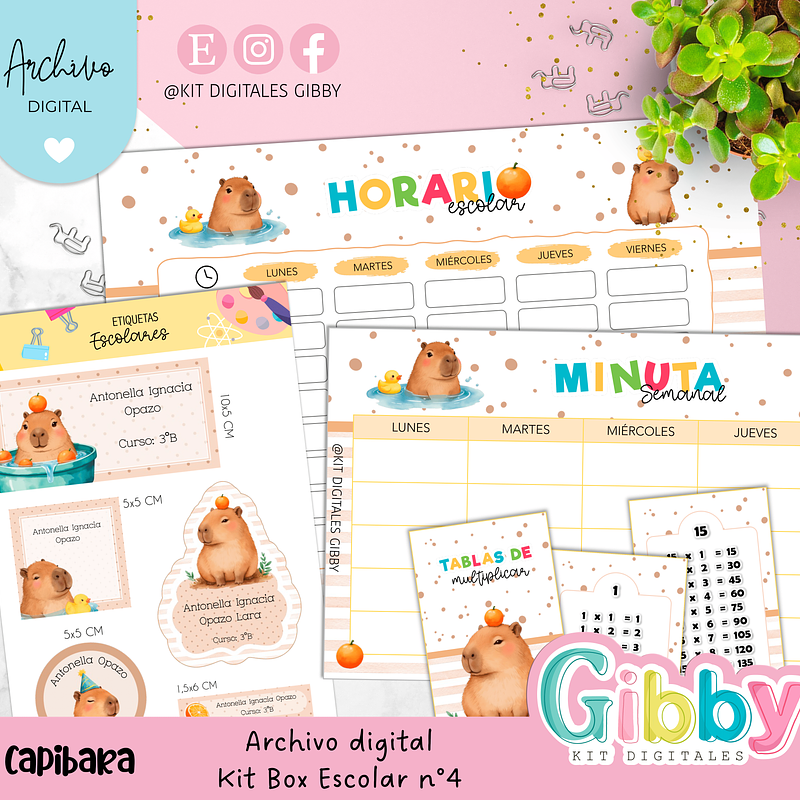 Membresia de etiquetas escolares  19