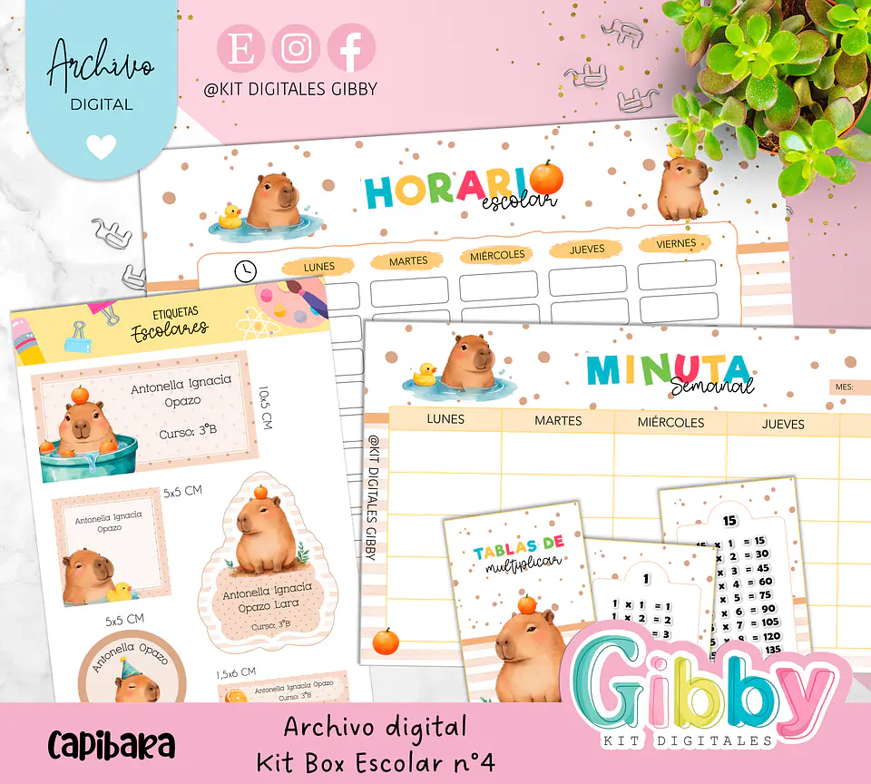 Archivo digital - Kit box escolar n°4 24